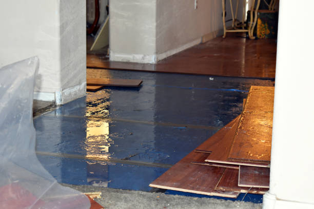 Professional Burst Pipe Cleanup technician working in Mazama, WA